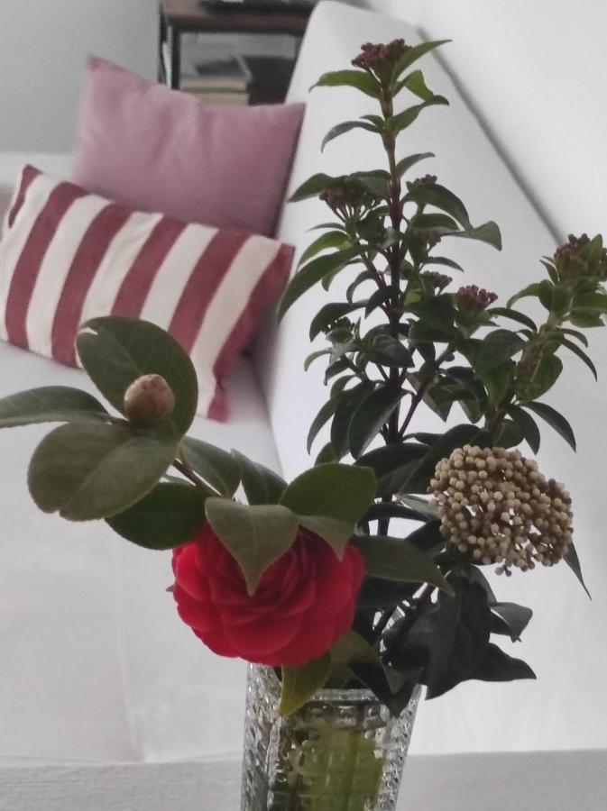 Apartamentos Atenea Jerte Dış mekan fotoğraf
