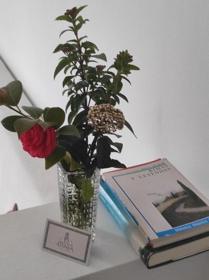 Apartamentos Atenea Jerte Dış mekan fotoğraf