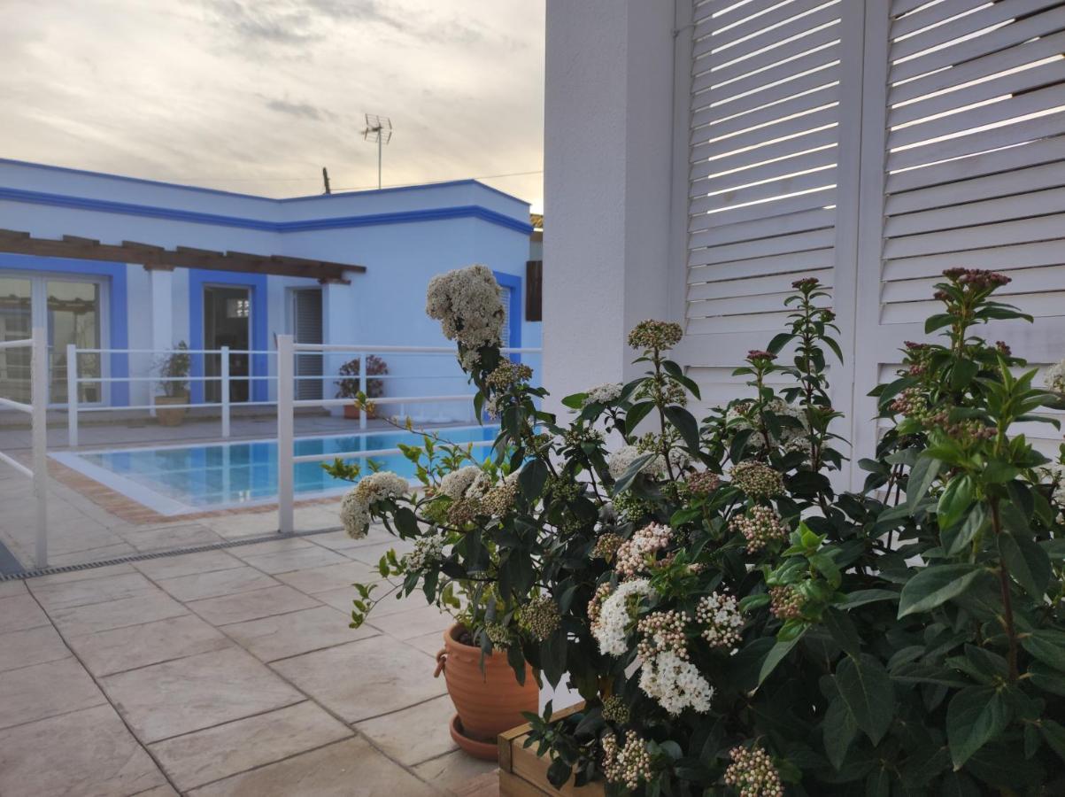 Apartamentos Atenea Jerte Dış mekan fotoğraf